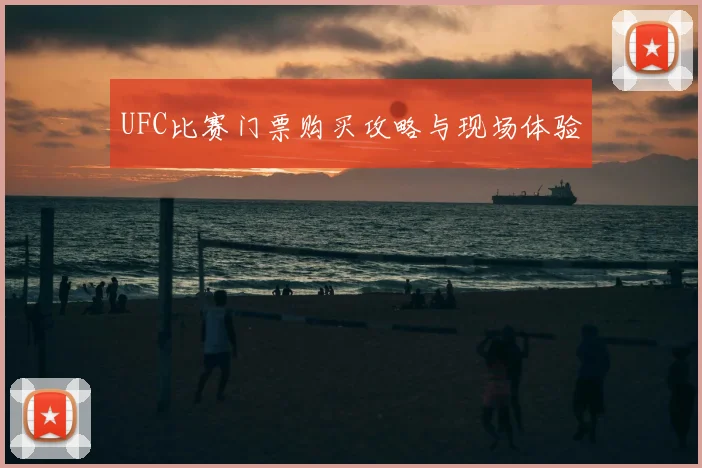 UFC比赛门票购买攻略与现场体验