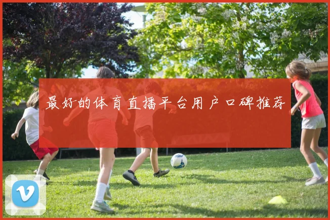 最好的体育直播平台用户口碑推荐