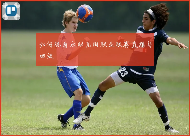 如何观看永劫无间职业联赛直播与回放