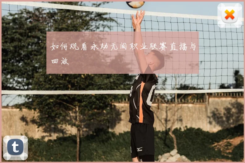 如何观看永劫无间职业联赛直播与回放