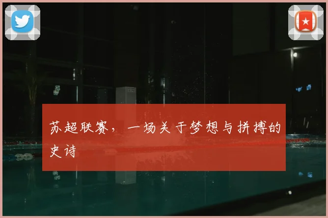 苏超联赛,一场关于梦想与拼搏的史诗